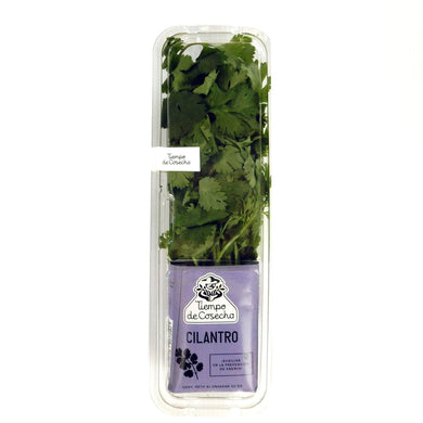 Cilantro en domo Tiempo de cosecha 50 g