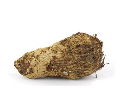 Malanga (Taro)