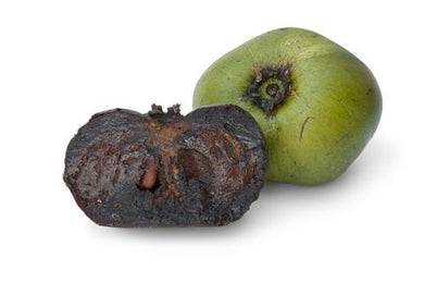 Pulpa de zapote (bolsa 1 kg)